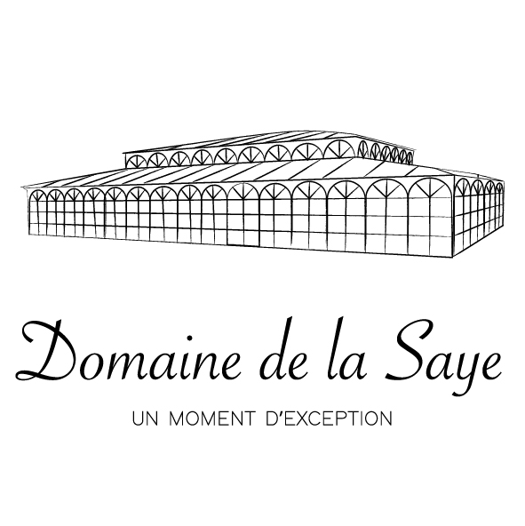 Logo_Domainedelasaye_Web_Noir_FBlanc